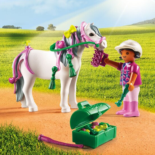 6969-Country-Collectable Groomer with Pink Pony