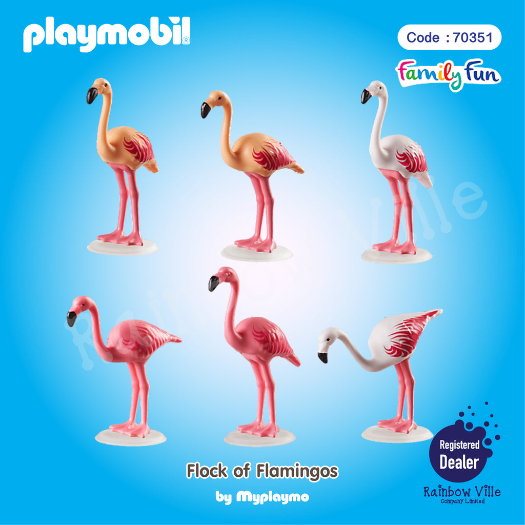 70351-Zoo-Flock of Flamingos